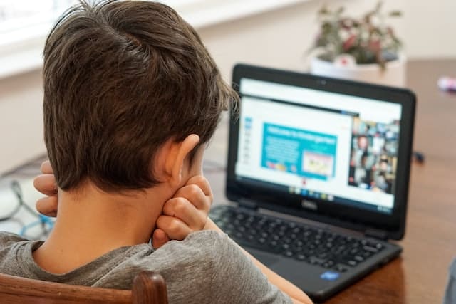 How Do Online Tuitions Work?