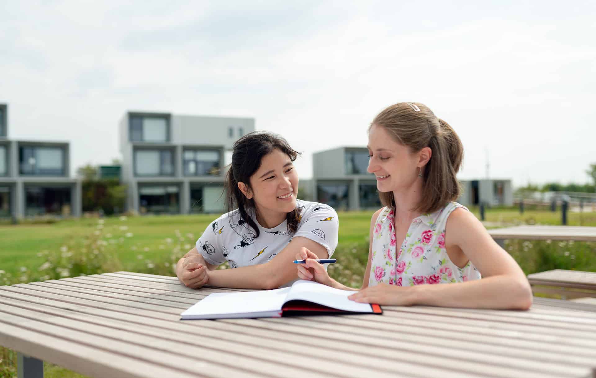 How to Become an Efficient Home Tutor for Chinese Subject?