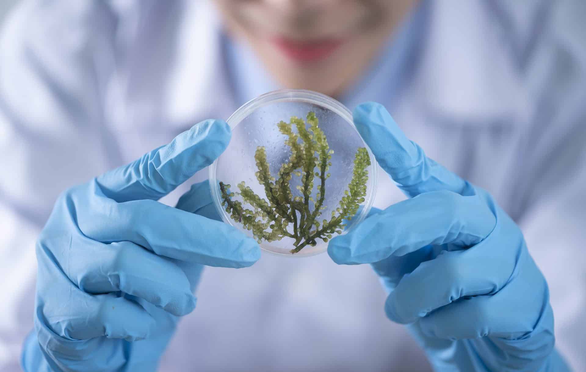 biology 1609312831