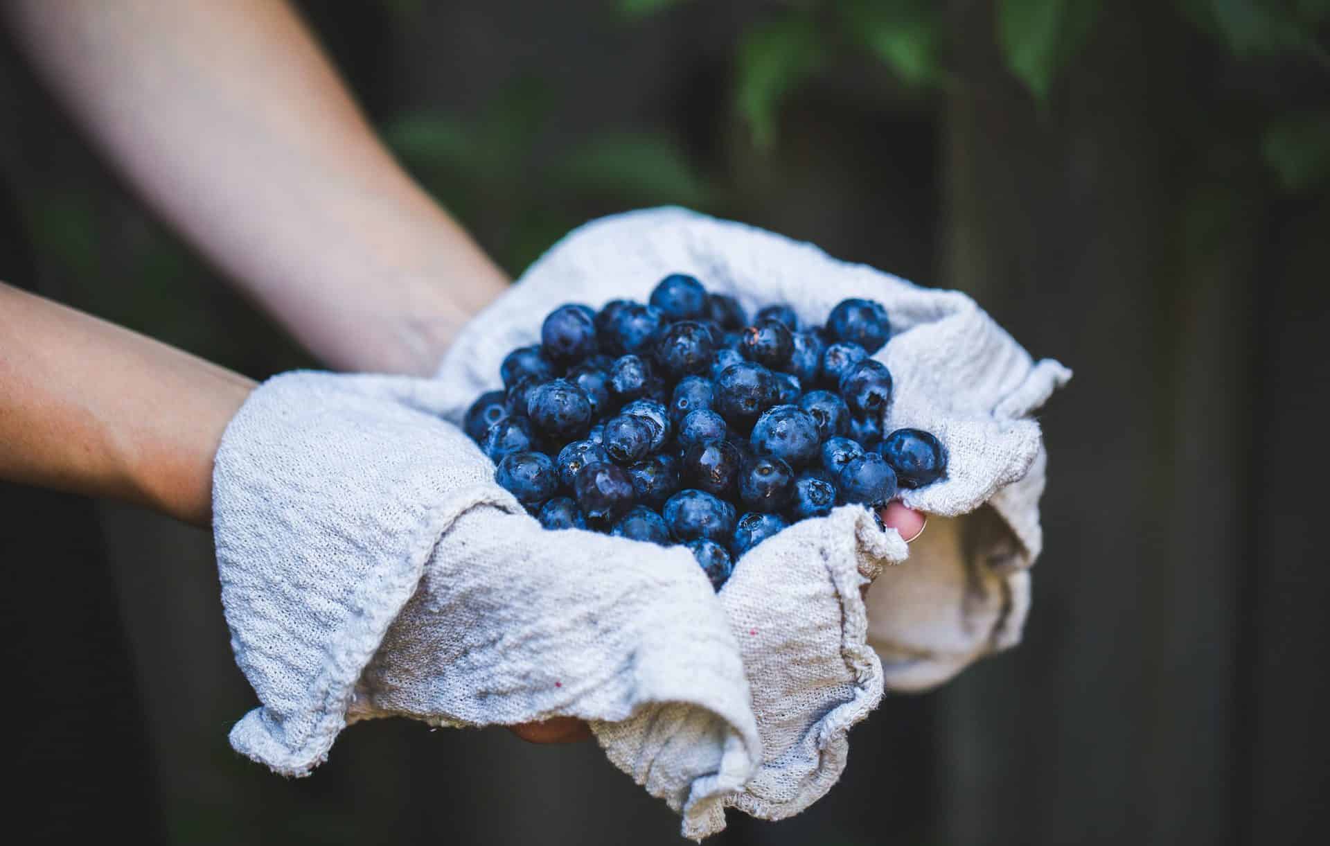 blueberries 1609319104
