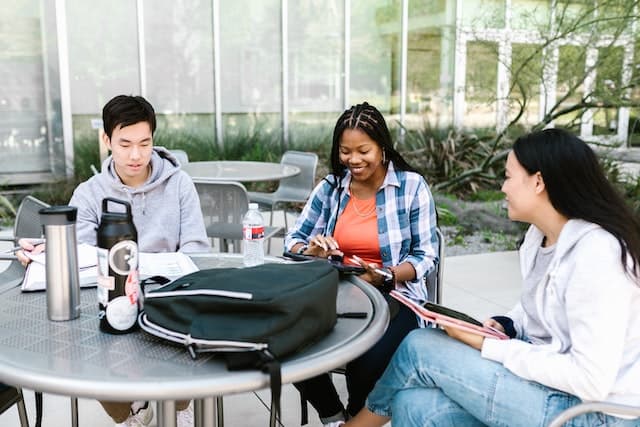 Should You Take a Business or Economics Degree?