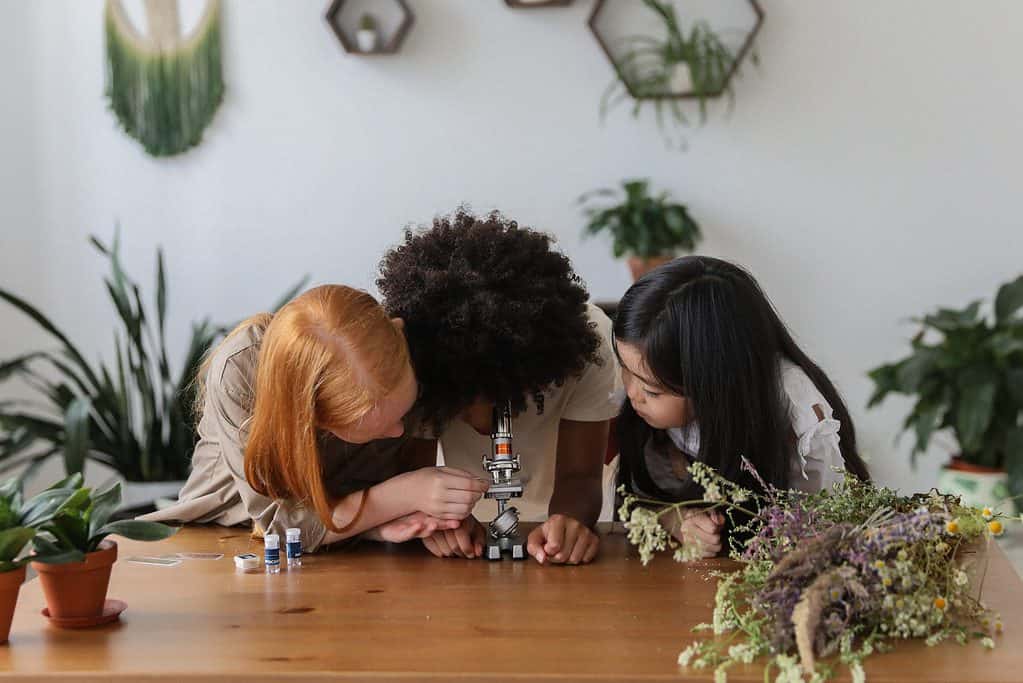 How to master your skills in Physics and Math