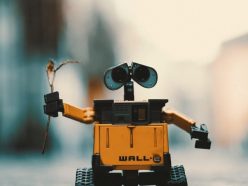 Skills and Degrees Cudy e1529908079112