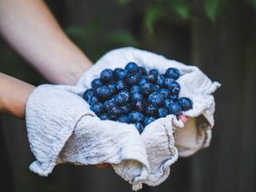 blueberries 1609319104