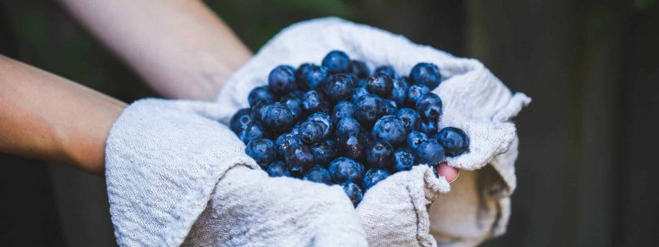 blueberries 1609319104