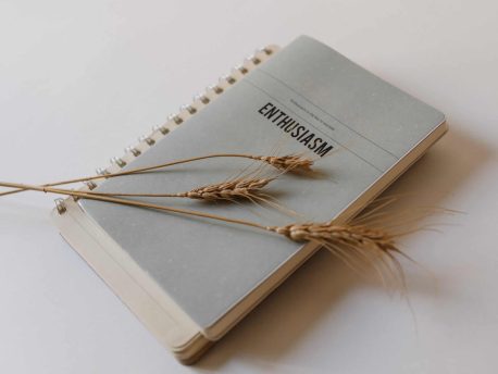 Ways to make studying as addictive as playing video games Ways to make studying as addictive as playing video games