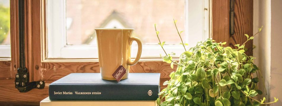 pexels lumn 309724 pexels lumn 309724