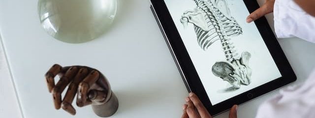 tips to study biology in most effective ways