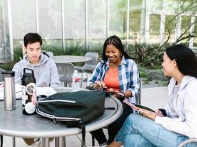 Should You Take a Business or Economics Degree?