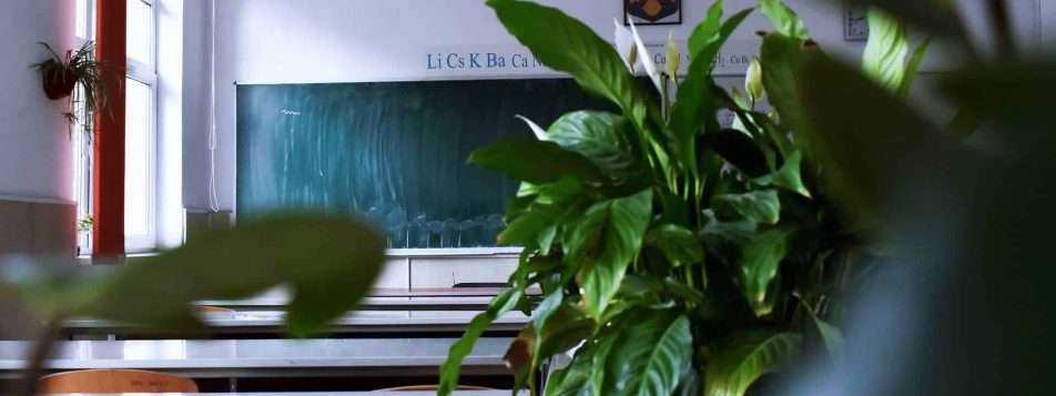 secondary 1609304413