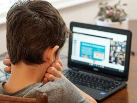 How Do Online Tuitions Work?