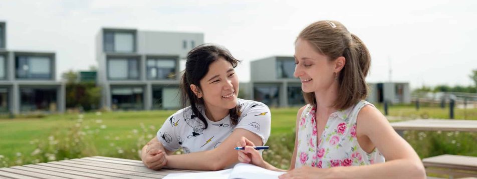 How to Become an Efficient Home Tutor for Chinese Subject?